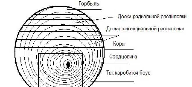 Как правильно распилить бревно на доски?