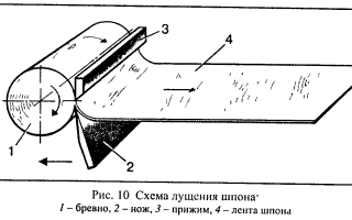 Как на производстве делают шпон?