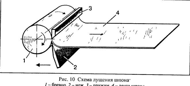 Как на производстве делают шпон?