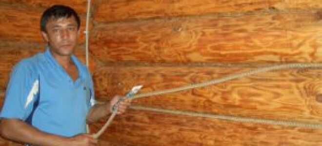 Конопатка деревянных домов своими руками — технология, хитрости и смета работы