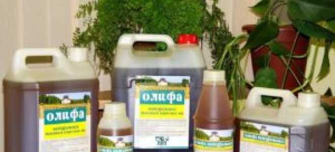 Определяем расход и сколько сохнет олифа на дереве — правильное применение и сравнение