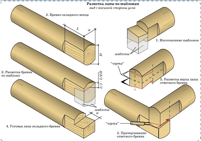 Разметка лапы по шаблонам
