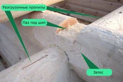 Основные элементы при технологии канадской рубки