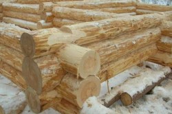 Рубка в чашу Рубка в чашу