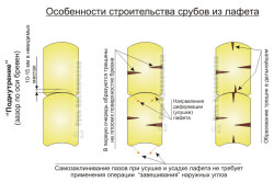 Схема норвежской рубки Схема норвежской рубки