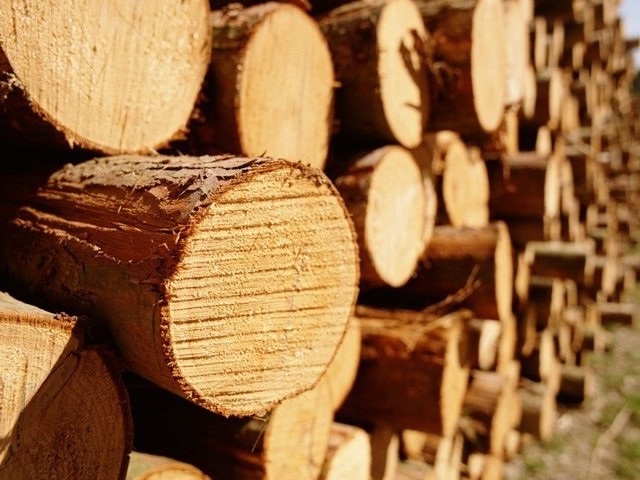 Круглый лес