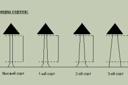 Сбежность бревна