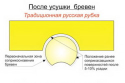 Рубка "в чашу" после усадки и усушки Рубка "в чашу" после усадки и усушки